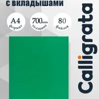 Папка с 80 вкладышами А4, 700 мкм, Calligrata, текстура &laquo;песок&raquo;, зелёная