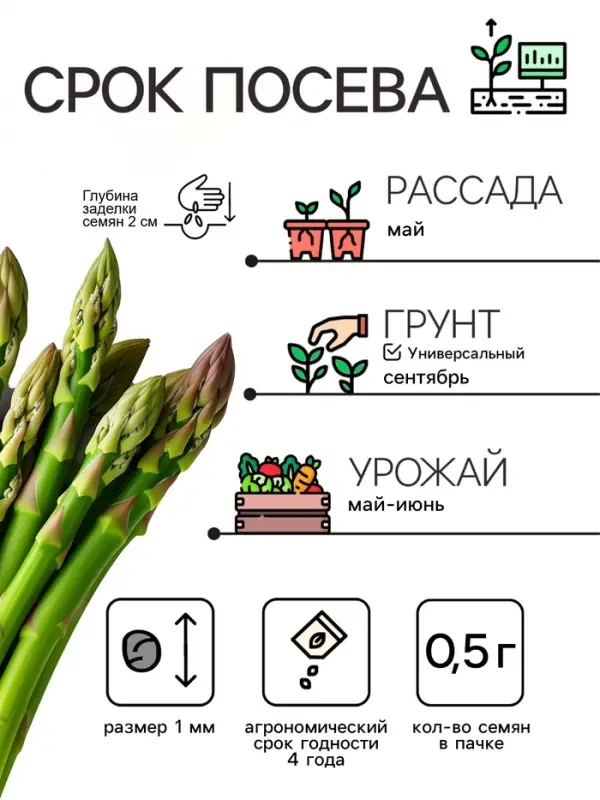 Семена Спаржа &laquo;Мария&raquo;, 5 г, &laquo;АЭЛИТА&raquo;