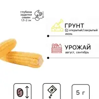Семена Кукуруза сахарная &laquo;Ранняя лакомка 121&raquo;, 5 г, &laquo;Кольчуга&raquo;