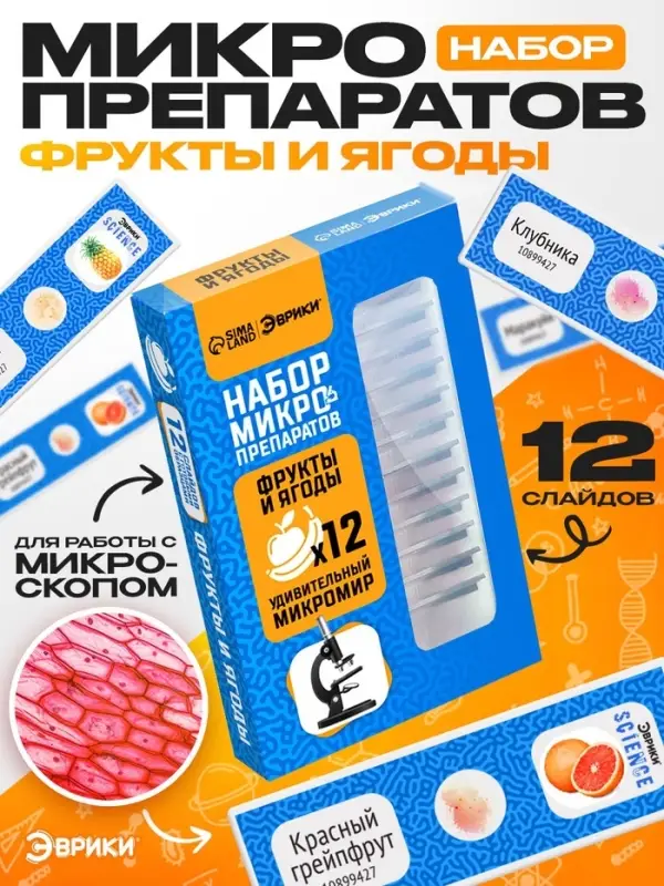 Набор для опытов &laquo;Набор микропрепаратов&raquo;, фрукты и ягоды