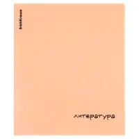 Тетрадь 48 листов в линейку &laquo;Литература&raquo; ErichKrause Dream
