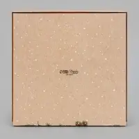 Коробка подарочная, самосборная &laquo;Еловые ветки&raquo;, 20&times;20&times;4 см