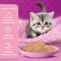 Влажный корм Whiskas для котят, курица, паштет, 75 г