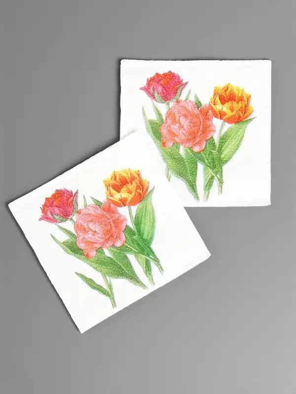 Салфетки бумажные Гармония цвета многоцветие Салфетки бумажные Гармония цвета многоцветие "Тюльпаны", 24*24 см 50 листов