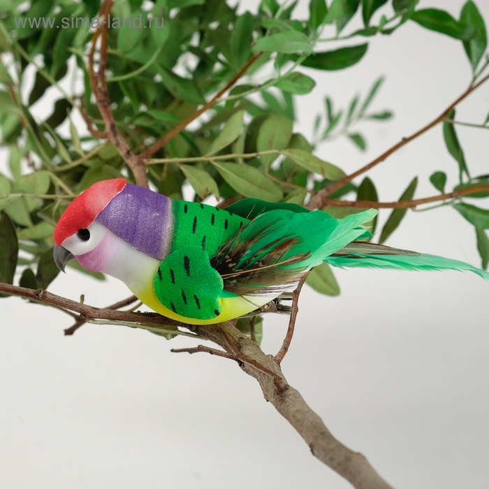 Птичка для декора и флористики, на прищепке, МИКС, пластиковая, 1шт., 8 х 8 см Птичка для декора и флористики, на прищепке, МИКС, пластиковая, 1шт., 8 х 8 см