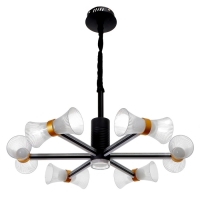 Люстра 1699/6 LED 100Вт 3000-6000К черный 73х73х60 см BayerLux