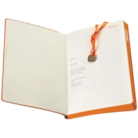 Ежедневник недатированный А5 Mercury красный 272 стр. 3-435/09