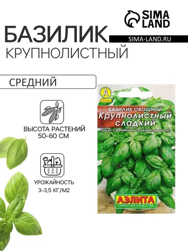 Семена Базилик овощной &laquo;Крупнолистный сладкий&raquo;, 0.2 г, &laquo;Аэлита&raquo;