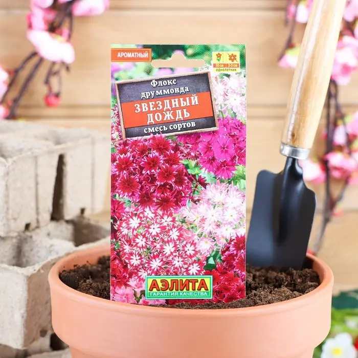 Семена цветов Флокс &laquo;Звездный дождь&raquo;, смесь окрасок, однолетник, 0.2 г, &laquo;Аэлита&raquo;