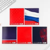 Тетрадь в клетку, 48 л., А5, на скрепке, блок №1 &laquo;Россия&raquo; МИКС
