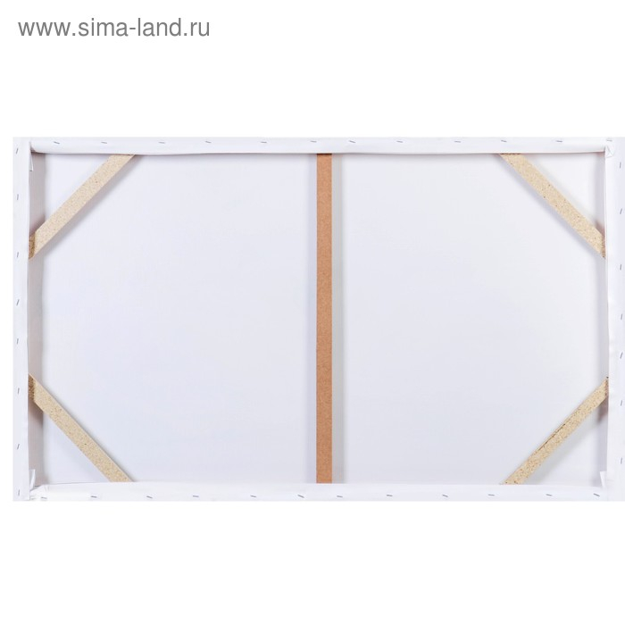 Картина-холст на подрамнике Картина-холст на подрамнике "Натюрморт" 60х100 см