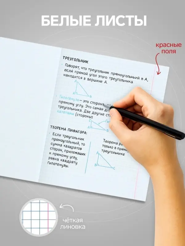 Тетрадь 96 листов в клетку, Calligrata &laquo;Хищники&raquo;, МИКС
