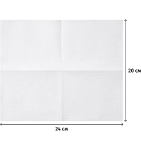 Салфетки бумажные FOCUS белые 20х24см 1сл 100шт/уп