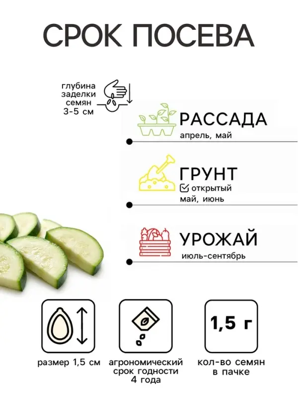 Семена Кабачок &laquo;Ореховый&raquo;,1.5 г, &laquo;Урожай удачи&raquo;