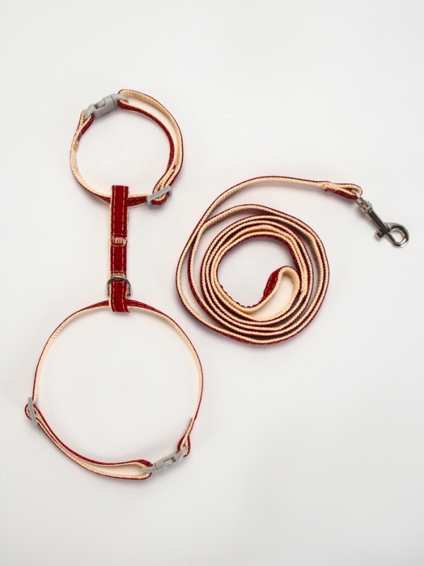Комплект амуниции "Жаккард", поводок 120 х 1 см, красный