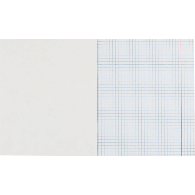 Бизнес-тетрадь Принты А5 48л, клетка, обл. мел. картон, скрепка,птицы