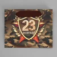 Пакет подарочный ламинированный, упаковка, «С 23 февраля», S 15 х 12 х 5.5 см