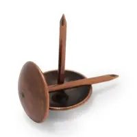 Гвозди ТУНДРА, декоративные, обивочные, 10&times;18.5 мм, медь, 100 шт.