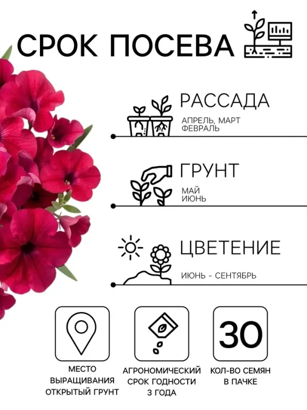 Семена цветов Петуния грандифлора &laquo;Аладдин&raquo; бордовая, 30 шт.