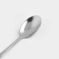 Ложка чайная Magistro Wings, длина 14 см, нержавеющая сталь, цвет серебряный