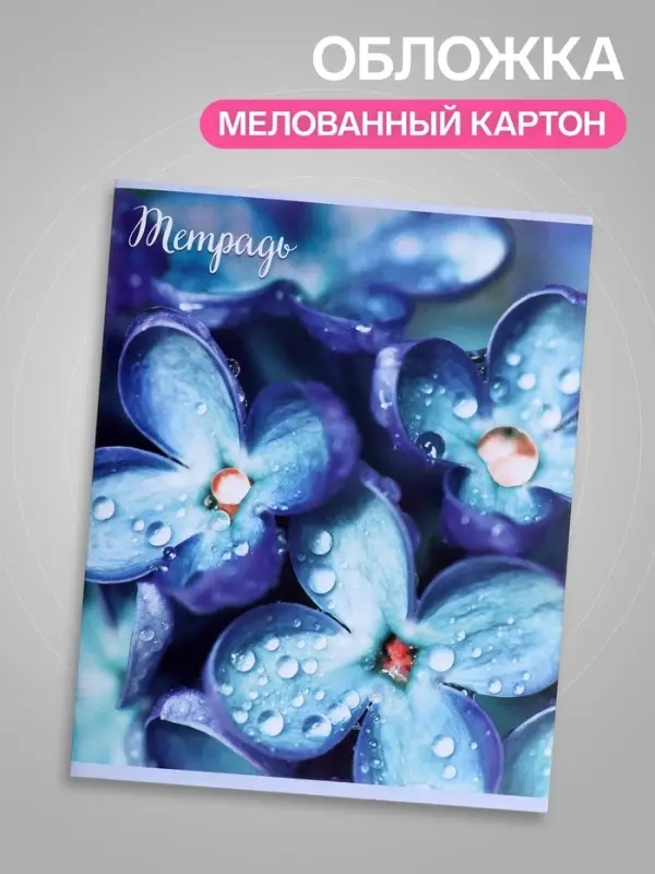 Тетрадь 96 листов в клетку &laquo;Цветы&raquo;, серые листы, МИКС