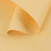 Пленка для цветов тонированная, матовая, шампань, 57&times;57 см &plusmn;5% см, 65 мкм