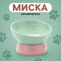 Миска &laquo;Туда-сюда&raquo;, 200 мл, 13.9&times;9.2 см, керамика, зелёная, розовая