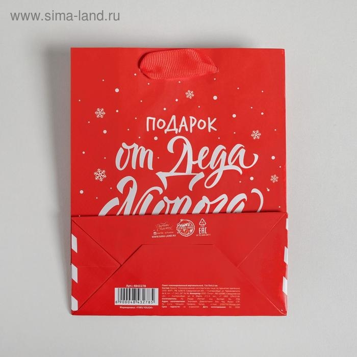 Пакет подарочный новогодний ламинированный «Подарок от Деда Мороза», S 12 х 15 х 5.5 см Пакет подарочный новогодний ламинированный «Подарок от Деда Мороза», S 12 х 15 х 5.5 см