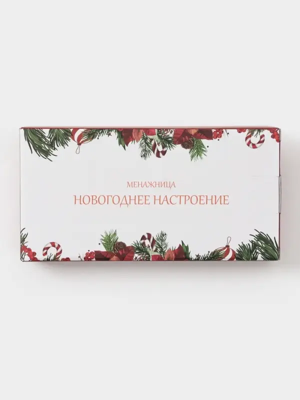 Менажница Доляна «Новогоднее настроение», 2 секций, 19.8×3 см, доломит, белая