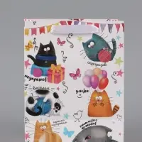 Пакет подарочный ламинированный, упаковка, &laquo;Забавные коты&raquo;, MS 18&times;23&times;10 см