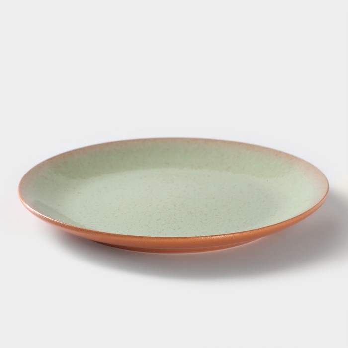 Тарелка ColorLife, d=24 см, h=2,5 см, цвет зелёный Тарелка ColorLife, d=24 см, h=2,5 см, цвет зелёный