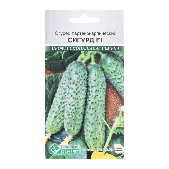 Семена Огурец партенокарпик Сигурд F1, 5 шт Семена Огурец партенокарпик Сигурд F1, 5 шт