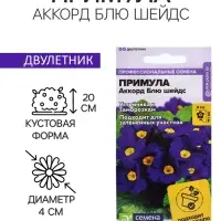 Семена Примула "Аккорд Блю шейдс", ц/п,  5 шт