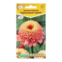 Семена Цинния изящная "Персиковый пудинг", 0 ,2 г Семена Цинния изящная "Персиковый пудинг", 0 ,2 г