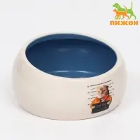 Миска Tasty, 200 мл, 10.5&times;10.5&times;5.6 см, скошенный край, керамика, синяя, белая