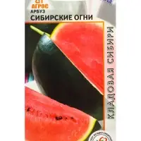 Семена Арбуз "Сибирские огни" 10 шт Семена Арбуз "Сибирские огни" 10 шт