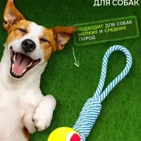 Игрушка канатная плетёная с мячом, до 130 г, до 33 см, цвет МИКС