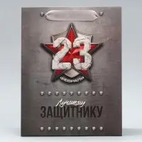 Пакет подарочный ламинированный, упаковка, &laquo;С 23 февраля&raquo;, ML 23&times;27&times;11.5 см