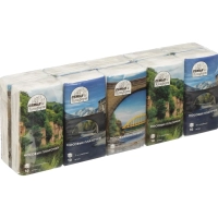 Носовые платочки Семья и Комфорт белые 3-сл. 10лх10пач/уп арт. 150