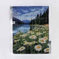Алмазная вышивка полное заполнение "Ромашковое поле", 30*40 см, на холсте