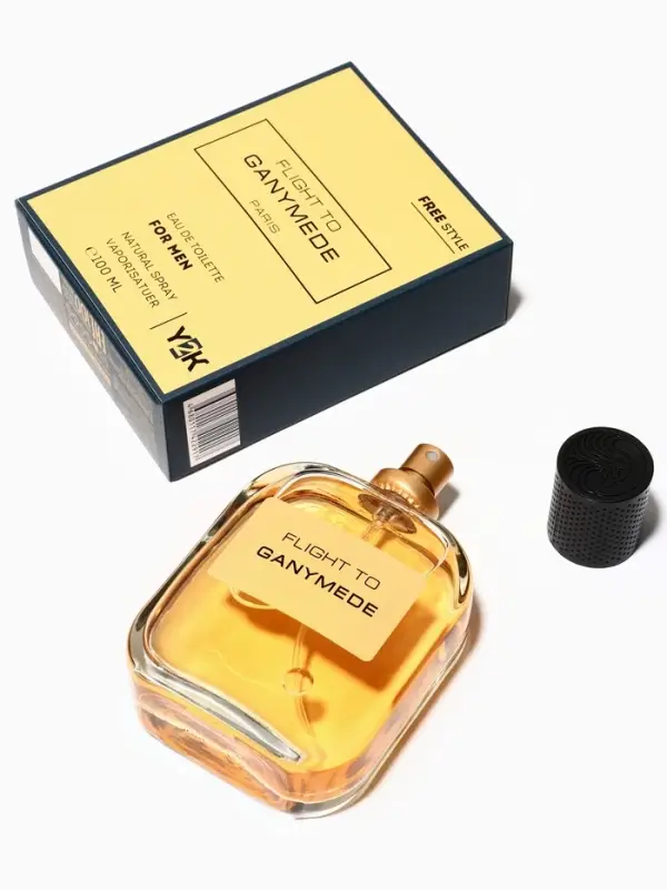Туалетная вода мужская Free Style Flight to Ganymede, 100 мл