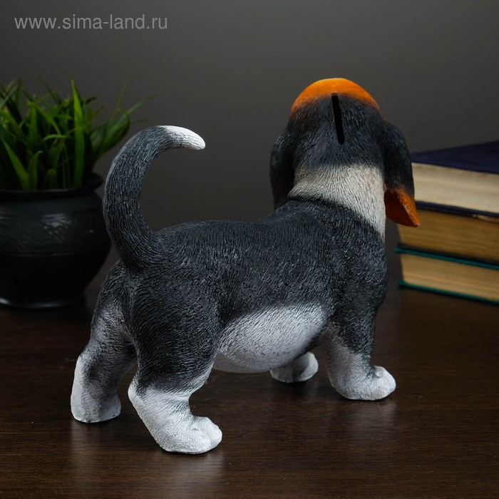 Копилка Копилка "Щенок бассет хаунда" стоящий, 24х11х19см