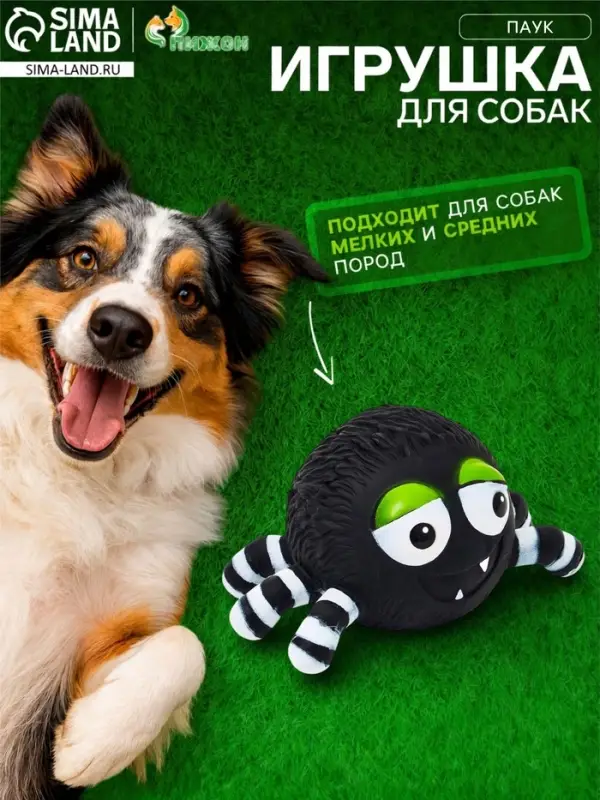 Пищащая игрушка для собак &laquo;Паук&raquo;, 15 см, чёрная