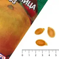 Семена Дыня &laquo;Колхозница 749/753&raquo;, 0.5 г, &laquo;Сембат&raquo;
