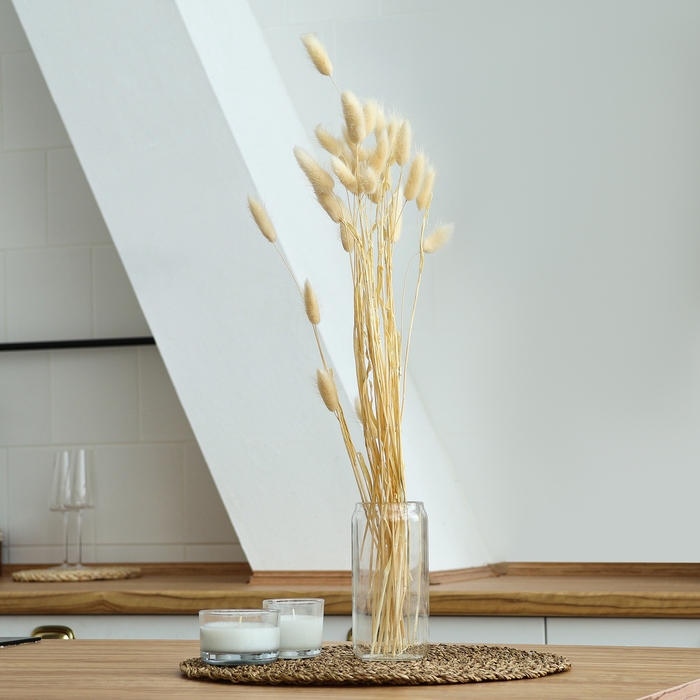 Сухоцветы «Лагурус», набор 30 шт., цвет белый Сухоцветы «Лагурус», набор 30 шт., цвет белый