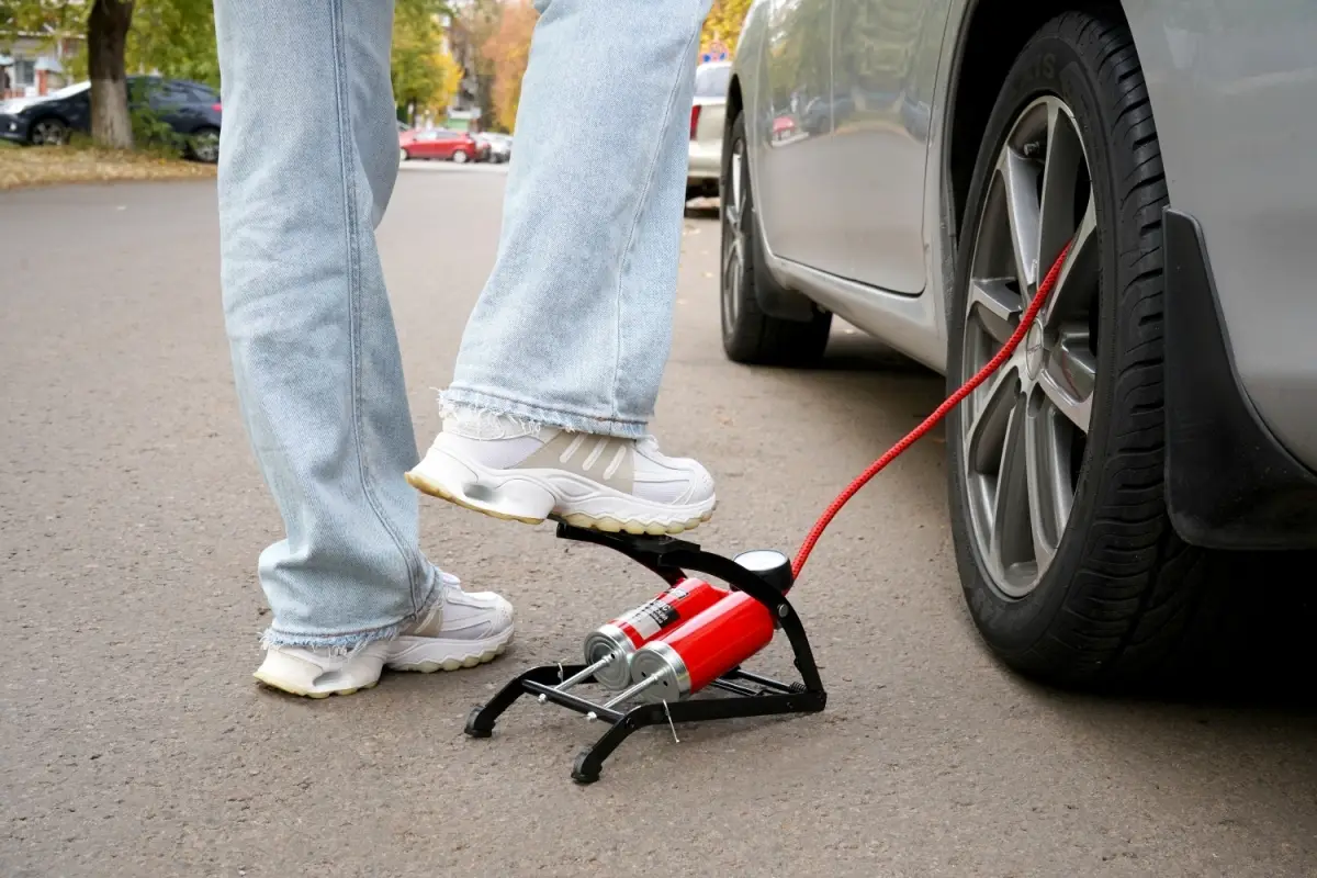 Насос механический двухцилиндровый AVS FP02