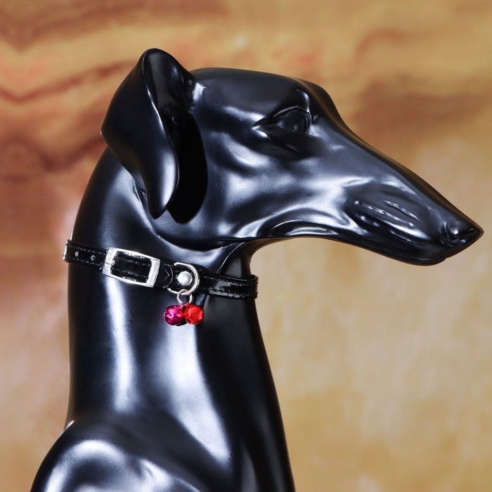 Ошейник с круглыми стразами, 28 х 1 см, ОШ 21-25 см, искусств. кожа, чёрный Ошейник с круглыми стразами, 28 х 1 см, ОШ 21-25 см, искусств. кожа, чёрный