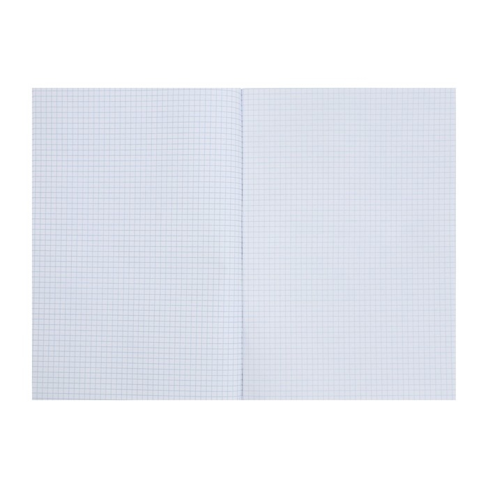 Тетрадь А4, 80 листов, в клетку New Line, МИКС