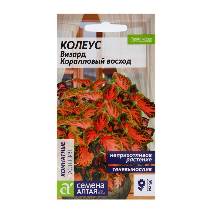 Семена комнатных цветов Колеус  Семена комнатных цветов Колеус "Коралловый Восход", 5 шт