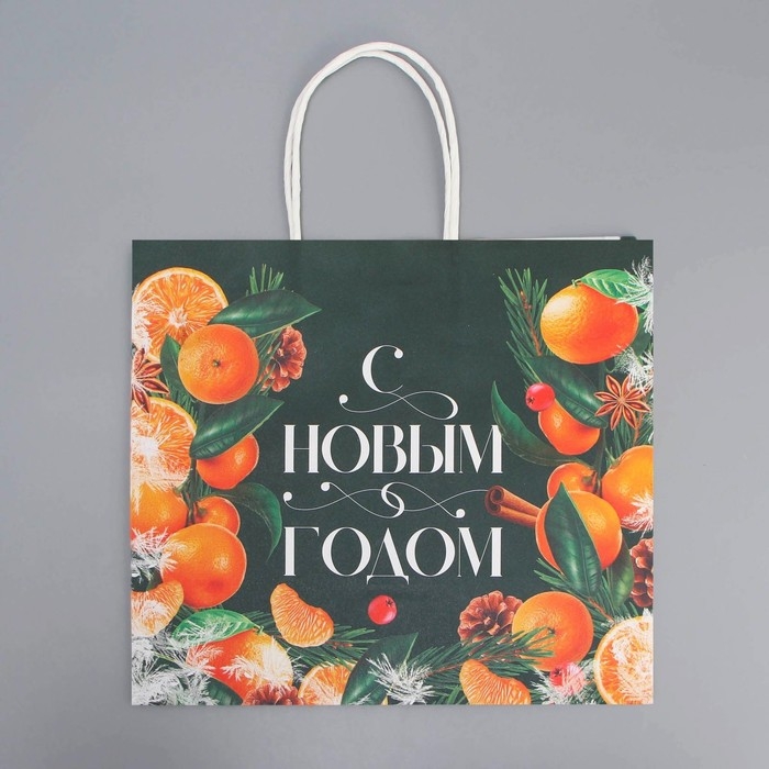 Пакет подарочный новогодний крафтовый «Новогодняя суета», 25 х 22 х 12 см, Новый год Пакет подарочный новогодний крафтовый «Новогодняя суета», 25 х 22 х 12 см, Новый год